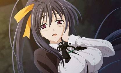 Anime Girls Highschool Dxd Himejima Akeno Matte Finish Poster Paper Print