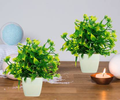Litoria Set Of 2 Great For Home Decor Little Small Bonsai Wild Artificial Plant With Pot In India - Small Plants For Home Decor Litoria Set Of 2 Great For Home Decor Little Small Bonsai Wild Artificial Plant With Pot In India - Small Plants For Home Decor