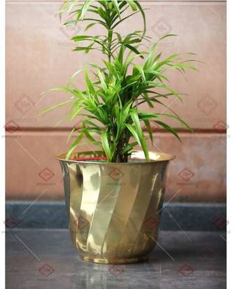 manish metals Plant Container Set