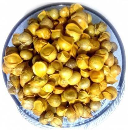 Somadev SNOW MOUNTAIN GARLIC, KASHMIRI LEHSUN Seed