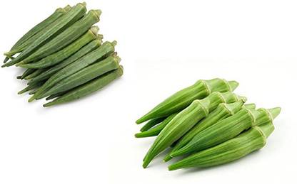 Sjeme Hybrid & Desi Lady Finger Seed Combo Seed