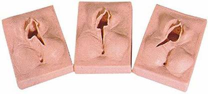 Max Plus |VULVA Suture Practice Pad COMBO | For Practicing and Training of Gynecologists | Mimics Real Flesh
