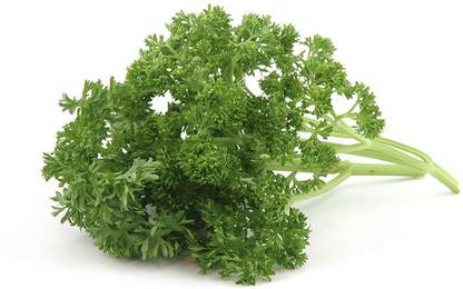 Paudha Parsley Seed