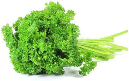 Paudha Parsley Seed