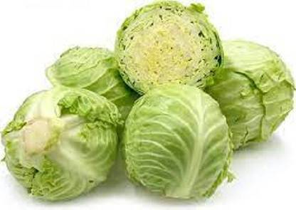 LYRS Pusa Synthetic Cabbage Seed Seed