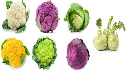 Sjeme Cauliflower, Cabbage & Ganth Gobi Seed Combo of 7 Seed