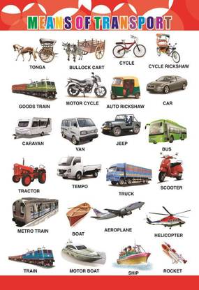 Transport wall Charts - Extremely usefull for growing kids | Laminated Chart | Paper Size (13*19 Inch) | Paper Print (Rolled with Safety Tube). Paper Print