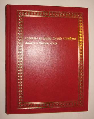 Institute in Basic Youth Conflicts