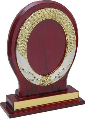 International Novelties Impex 11 mm heavy mdf board trophy with fiber frame Trophy
