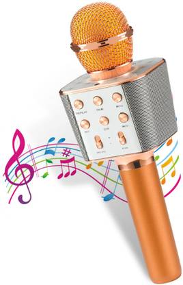 Pick Ur Needs Karaoke Duplex Bluetooth Mic Wireless Bluetooth Microphone Connection Player Speaker 2-in1 With Recording + USB + FM Microphone Karoke Mic