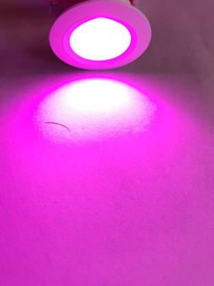 impression 1 Watt LED COB/Spot Light/Button Light Conceal Light Spot Full Bright 100 lumens PINK Recessed Ceiling Lamp