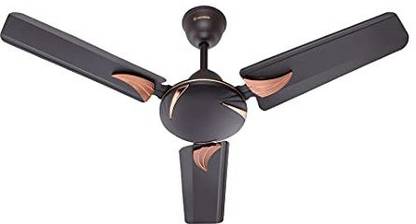 Candes Arena with 2 Year Warranty Anti Dust 900 mm Ceiling Fan