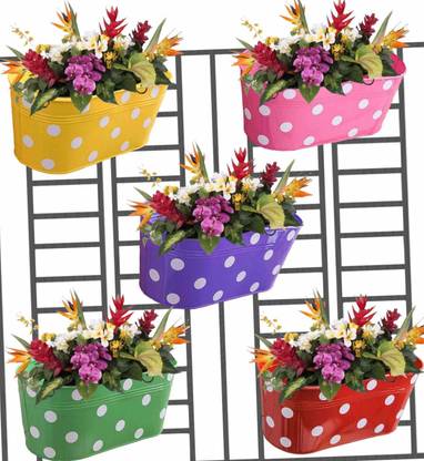 Bison Plant Container Set