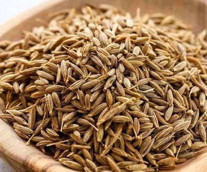 V Seed Cumin Farming Seed Seed