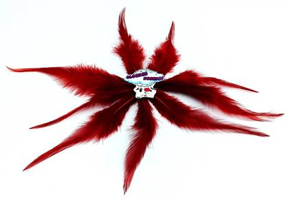 CLOUDED HOBBIES Pack of 100 Decorative Feathers