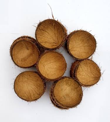 SPIKER SPICES FCS20 Common Bird Feeder