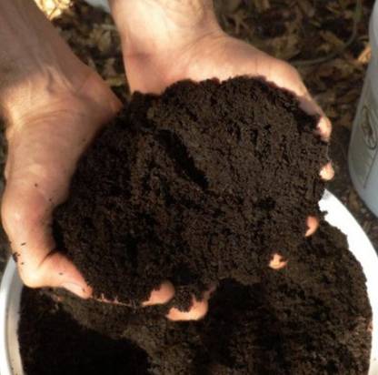 garden peacock sstvc5 Manure