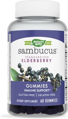 Nature's Way Sambucus Standardized Elderberry Gummies with Vitamin C and Zinc