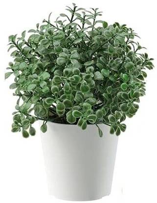 IKEA Bonsai Artificial Plant  with Pot