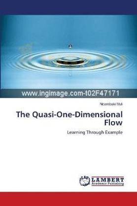 The Quasi-One-Dimensional Flow