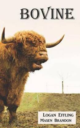 Bovine
