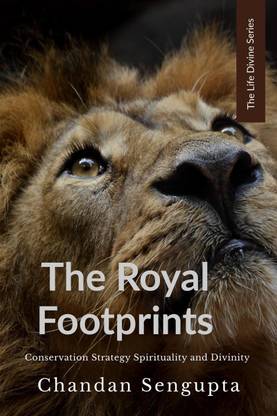 The Royal Footprints