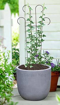 GREEN TOUCH Metal Trellis Plant Support,Plant Supporters,Trellis Plant Supporters for Climbing Vines,Lightweight Trellis for Climbing Plants Creeper Support for Plants Pack of 1 Plant Straightener