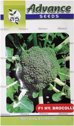 Advance HYBRID BROCCOLI Seed