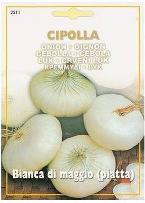 ActrovaX Onion White Cipolla Bianca di maggio [8000 Seeds] Seed