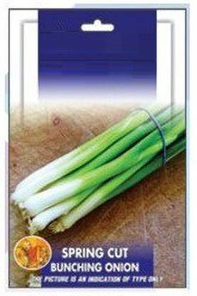Qualtivate ® Chinese Spring Onion Seeds-1000 Seed Seed