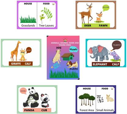 Fun and Learn 2 in 1 Flash Card Front Animal with Baby and Back Sound, Home Food content in 20 Flash Card with 40 Topics