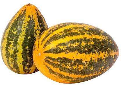 SHOP 360 GARDEN Dosakaya l Sambar Cucumber l Yellow Cucumber Vegetable Seed