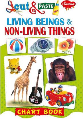 Living Beings & Non-Living Things