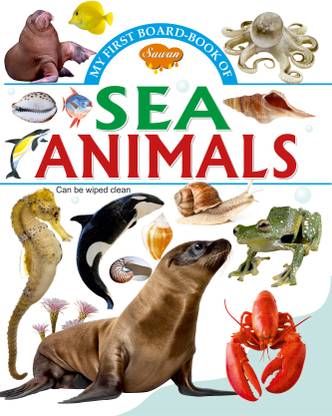 Sea Animals
