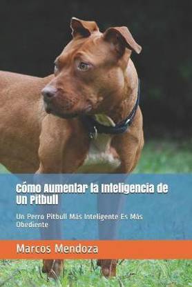 Como Aumentar la Inteligencia de Un Pitbull