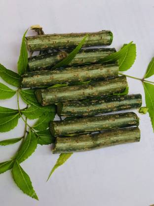 ALL IN ONE GLOY Seed