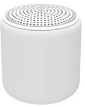 digilex TWS Wirless Audio Manual Wireless Speaker V5.0 3 W Bluetooth Speaker