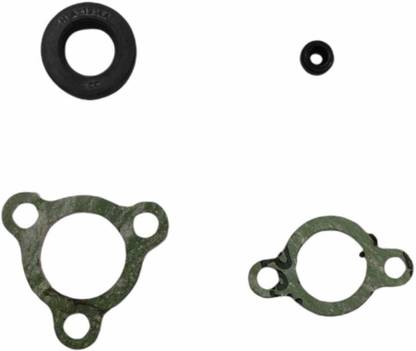 D'Mega Mart Oil Seal for 2T Oil Pump RX 100 / RXG / 135/5 Speed With Packings Vehicle Camshaft Seal