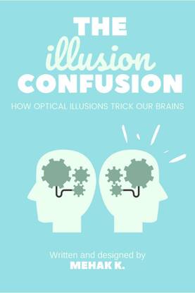 The Illusion Confusion