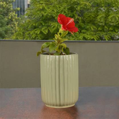 StyleMyWay Hand Painted Ceramic Planter Pot (Sage Green, Diameter - 12 cm, Height - 16 cm) | Plant Container Set