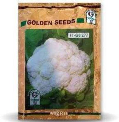 FRESHO upl qualiflower advanta seeds Seed
