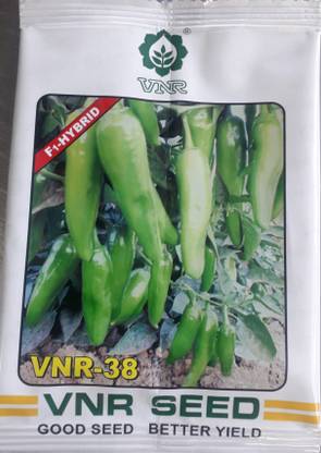 VNR VNR-38 chilli Seed