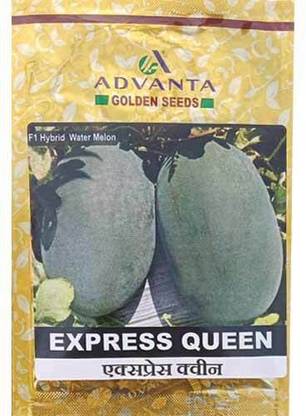 Go Green upl ash advanta seeds Seed