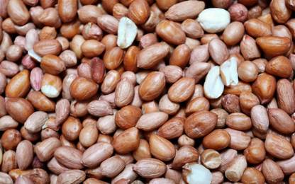sivasakthi stores Peanut (Whole)