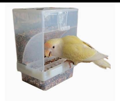 Bird Plus Automatic Feeder (500gm) Size Suitable for Finches, Budgies, African Love Birds, Cockatiel, Conure Pet Food Dispenser