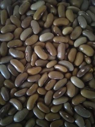 PRADHAM SEEDS Double Beans Seed