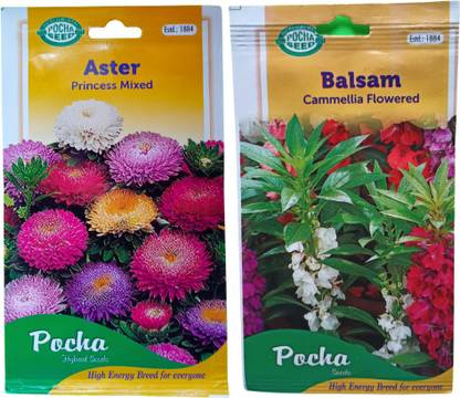 POCHA China Aster Flower Seeds, Balsam Cammellia Flower Hybrid Seed