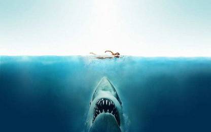 Jaws Sharks Split View Sea Person Swimming Over Shark Movie Matte Finish Poster Paper Print