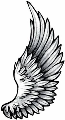 Ordershock Wings Temporary Tattoo Stickers For Male And Female Tattoo Body Art