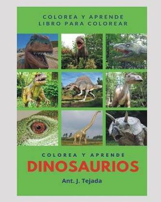 COLOREA Y APRENDE. Libro de colorear. Aprender coloreando.